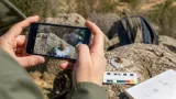 Universidad de Granada crea una app que mide la morfología de organismos con IA sin conexión